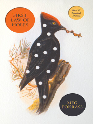 cover image of First Law of Holes